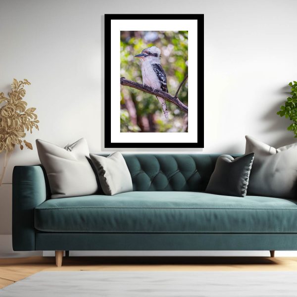 Kookaburra Print