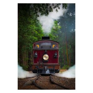 Puffing Billy Print